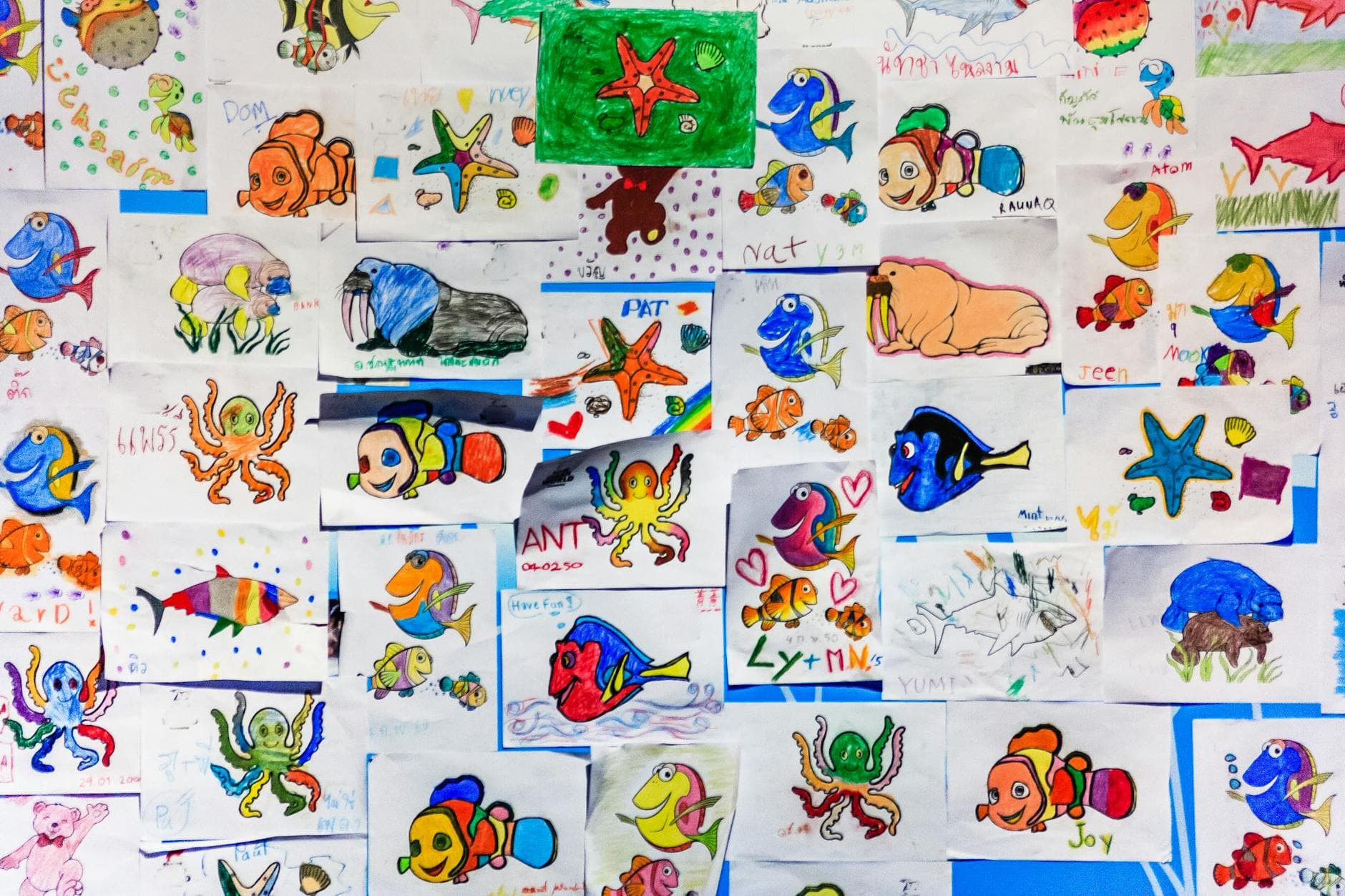 A colorful collage of children's drawings featuring various marine life in vibrant hues.